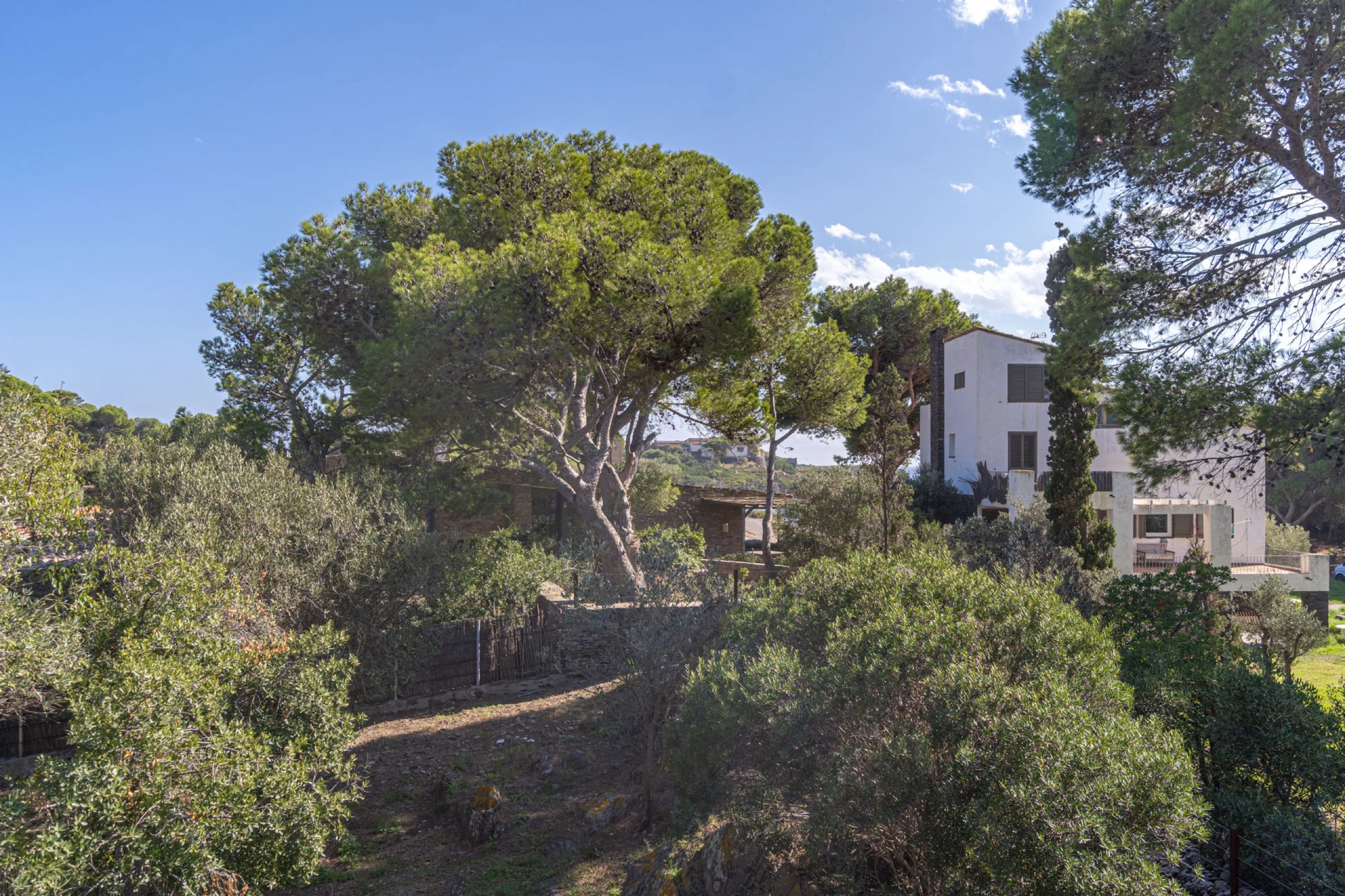 Villa de Lujo en Platja de Sa Confitera en Sa Confitera, Cadaqués, imagen 44 de la galería